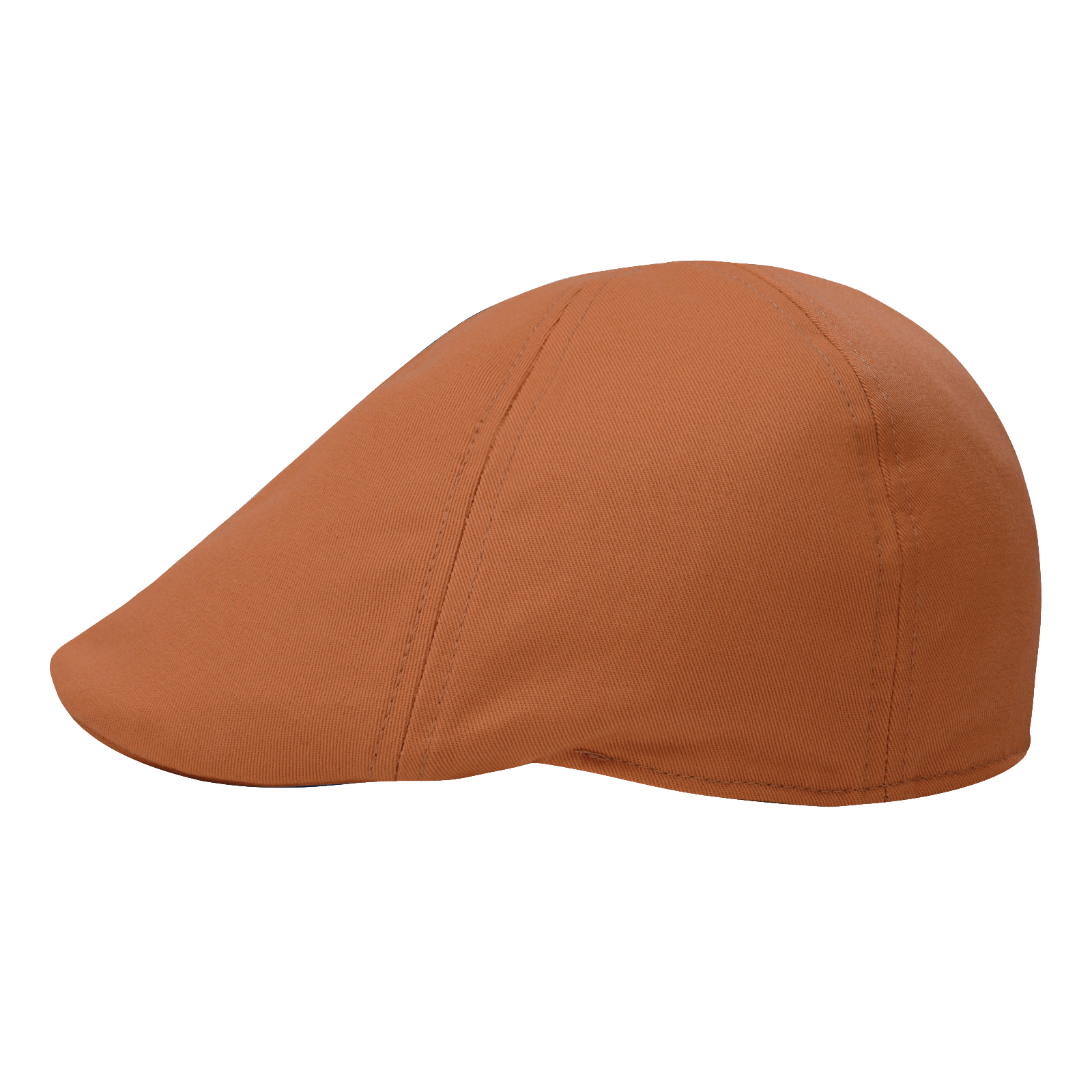 Мужская классическая хлопковая – обзор и цена Newsboy Cap Ivy