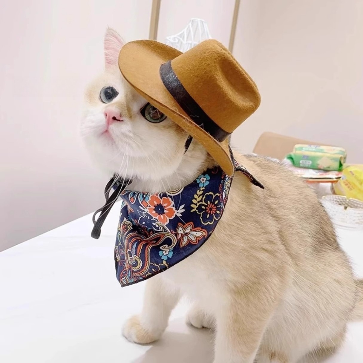    Ковбойская шляпа для кошек – обзор и цена Cowboy Hat Straw
